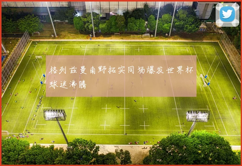格列兹曼南野拓实同场爆发世界杯球迷沸腾