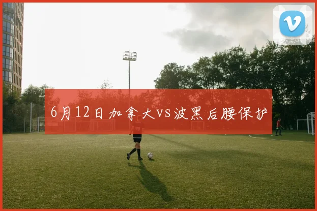 【体育下载】6月12日加拿大vs波黑后腰保护