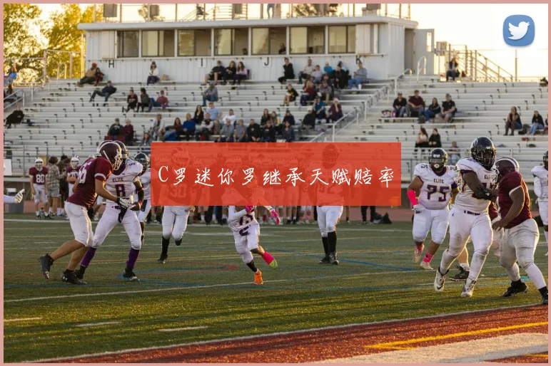 C罗迷你罗继承天赋赔率