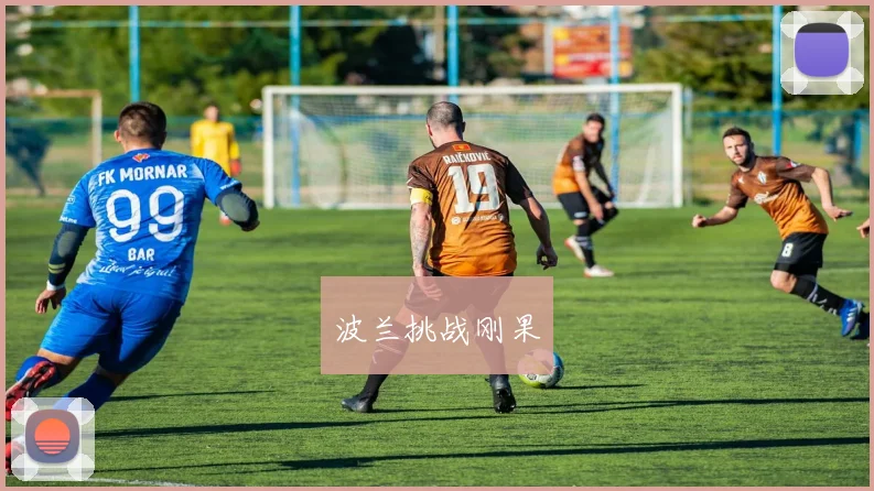 波兰挑战刚果