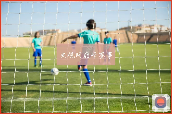 央视网巅峰赛事