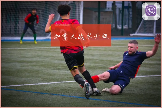 加拿大战术升级