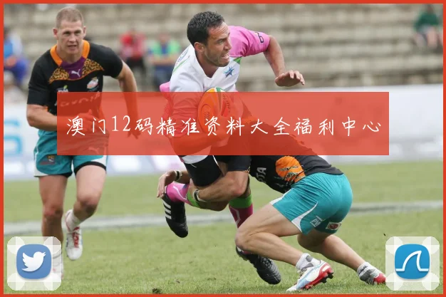 澳门12码精准资料大全福利中心