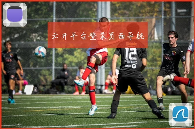 云开平台登录页面导航