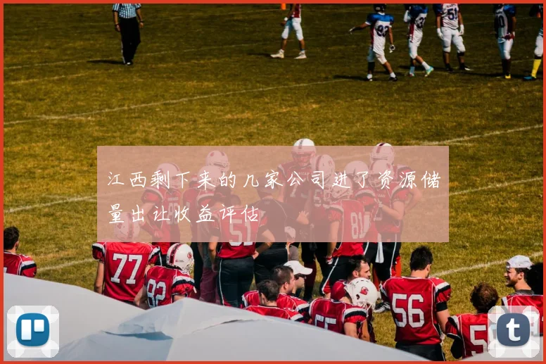 江西剩下来的几家公司进了资源储量出让收益评估