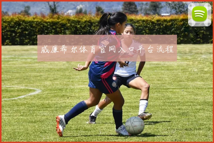 威廉希尔体育官网入口平台流程
