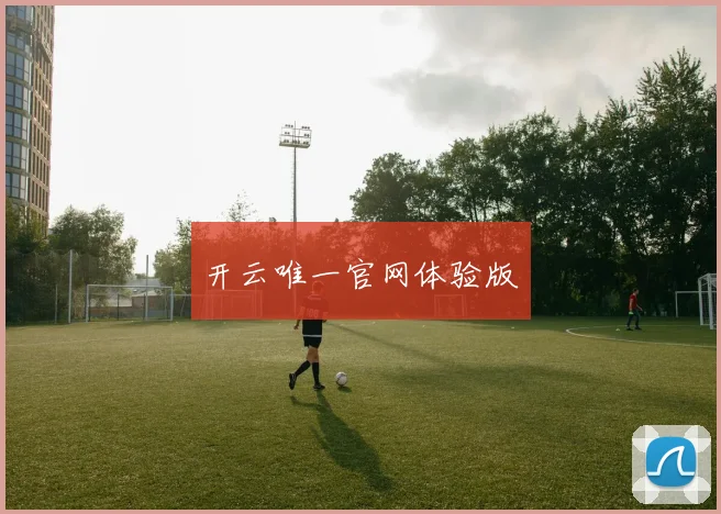 开云唯一官网体验版