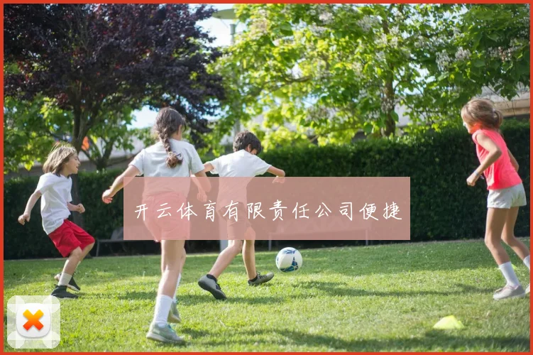 开云体育有限责任公司便捷