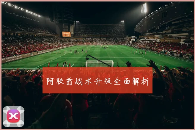 阿联酋战术升级全面解析