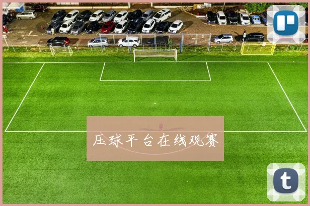 压球平台在线观赛