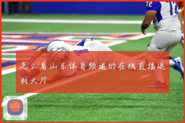 怎么看山东体育频道的在线直播返利大厅