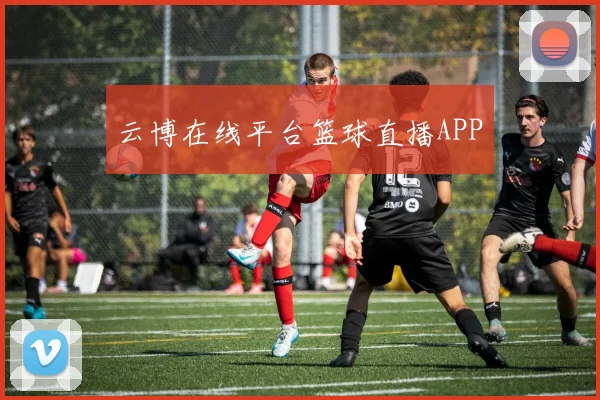 云博在线平台篮球直播APP