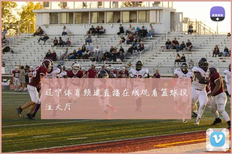 辽宁体育频道直播在线观看篮球投注大厅