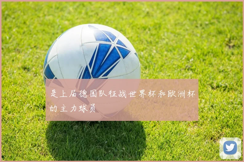 是上届德国队征战世界杯和欧洲杯的主力球员