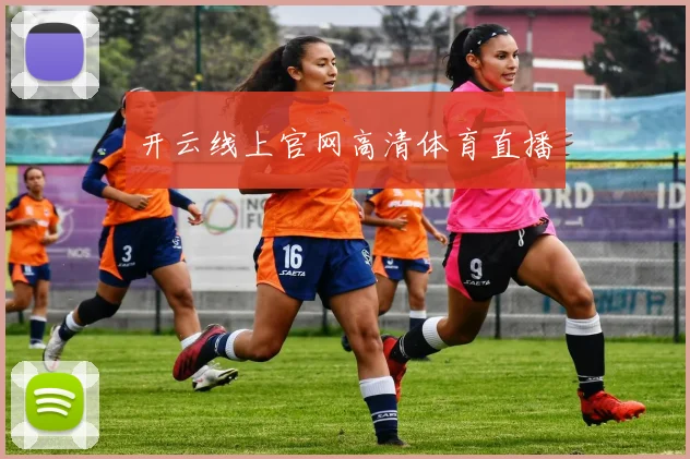 开云线上官网高清体育直播