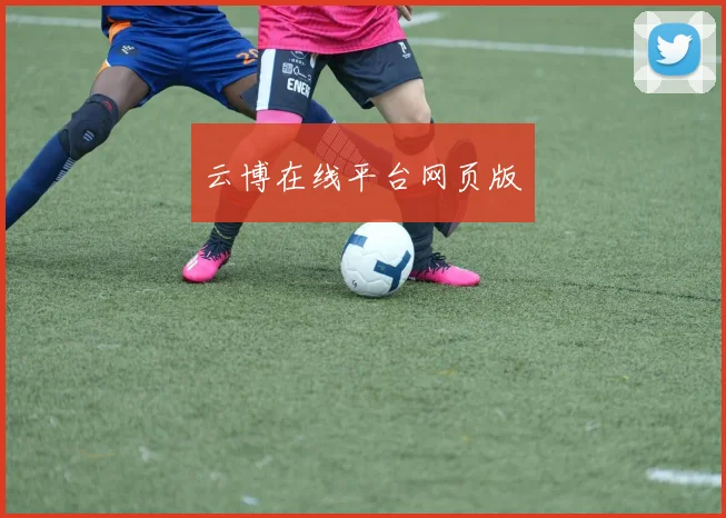 云博在线平台网页版