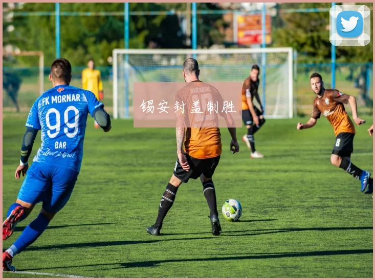 锡安封盖制胜