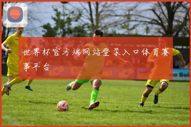 世界杯官方端网站登录入口体育赛事平台
