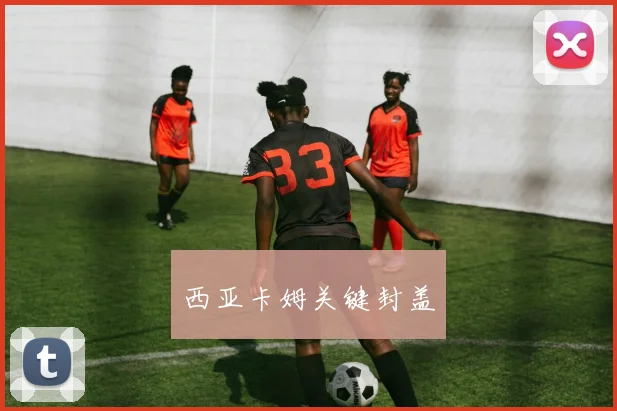 西亚卡姆关键封盖