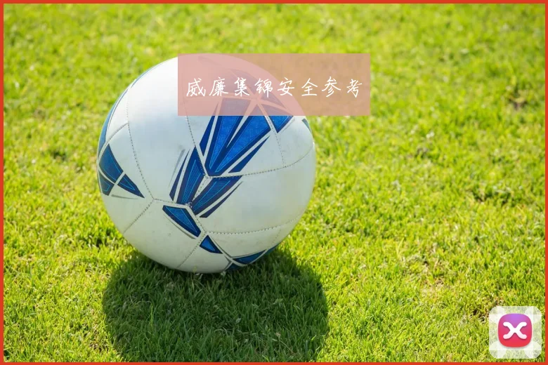 威廉集锦安全参考