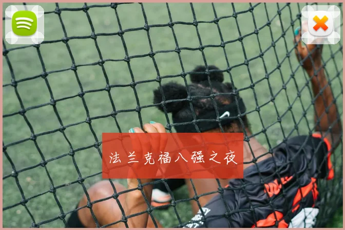 法兰克福八强之夜