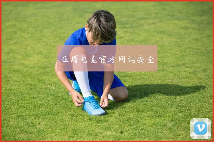 亚搏电竞官方网站安全