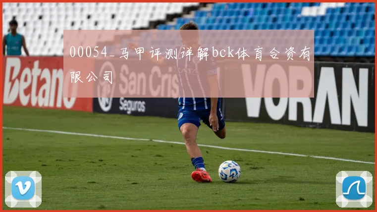 00054_马甲评测详解bck体育合资有限公司