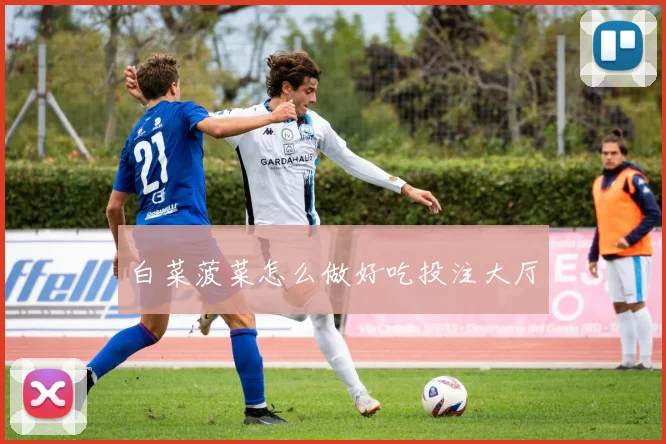 白菜菠菜怎么做好吃投注大厅
