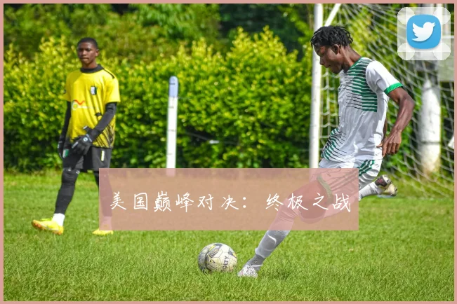 美国巅峰对决:终极之战
