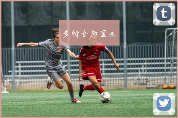 多特会师国米