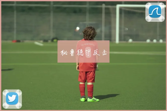 秘鲁稳守反击