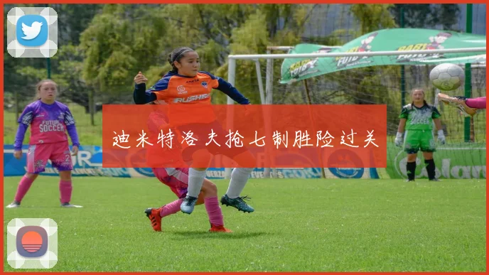 迪米特洛夫抢七制胜险过关