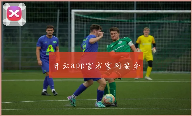 开云app官方官网安全