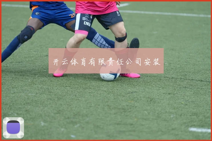 开云体育有限责任公司安装