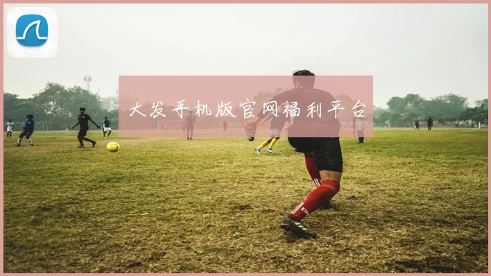 大发手机版官网福利平台