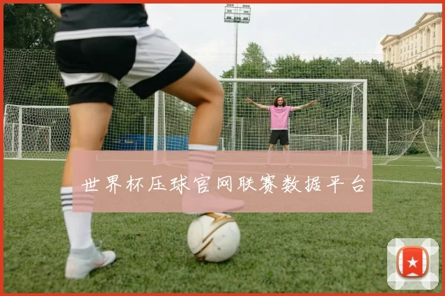 世界杯压球官网联赛数据平台
