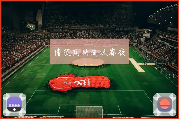 博茨瓦纳淘汰赛夜