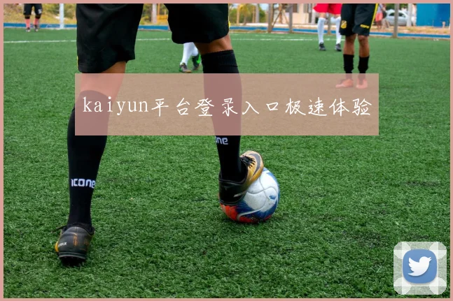 kaiyun平台登录入口极速体验