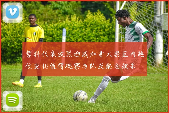哲科代表波黑迎战加拿大禁区内跑位变化值得观察与队友配合效果