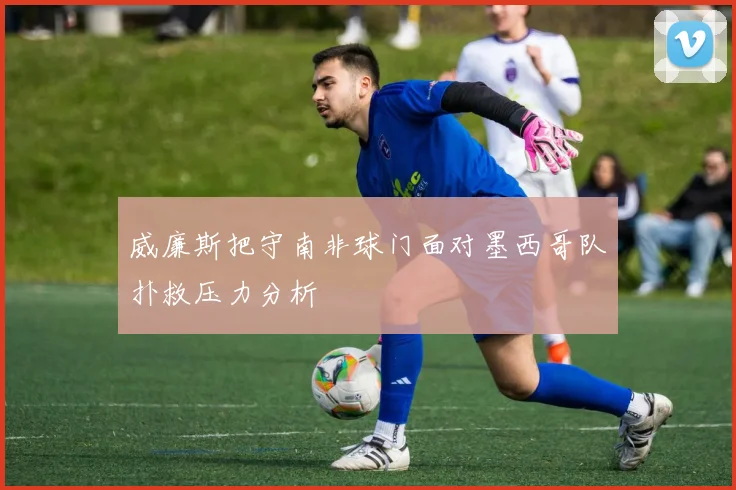 威廉斯把守南非球门面对墨西哥队扑救压力分析