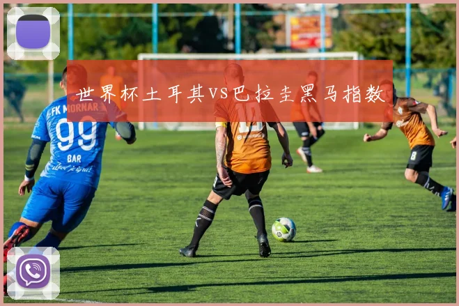 世界杯土耳其vs巴拉圭黑马指数